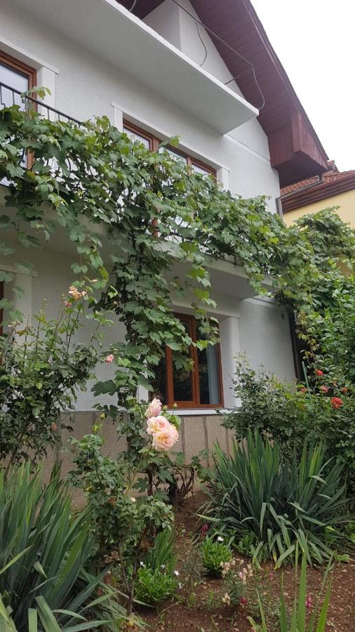 Appartamento Madalina Braşov Esterno foto